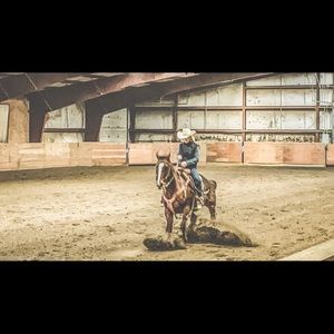 Meet your Posher, Heidi